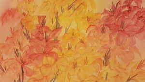 Tropical canna flowers